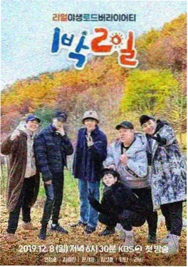 欢乐今宵
